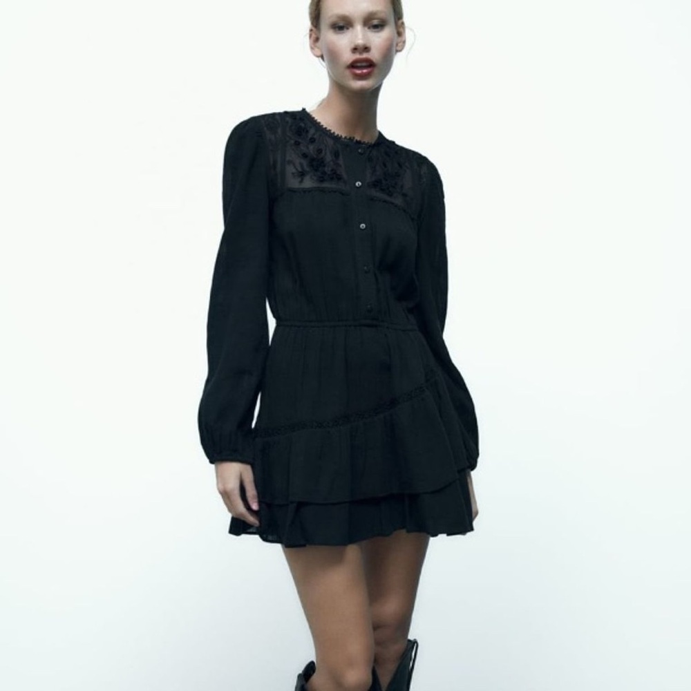 Zara Long Sleeve Embroidered Dress Size L NWT